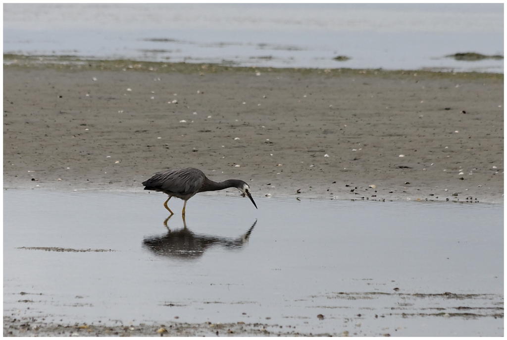 11 - Cape Farewell (10).jpg